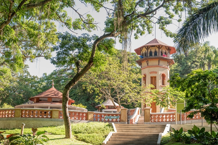 Exposição Pombal: do mangue ao mundo